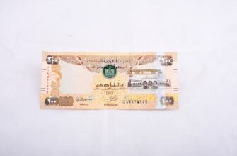 best bitcoin wallet for egypt
