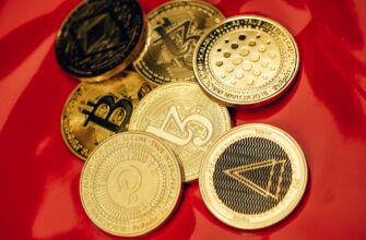best bitcoin wallet for paraguay
