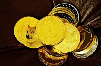 best bitcoin wallet for zimbabwe