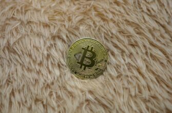 bitcoin halving countdown ne demek