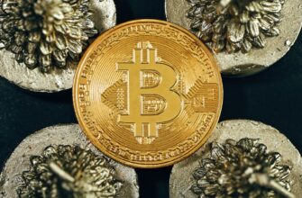 best bitcoin wallet for argentina