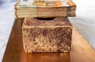 best bitcoin wallet for cameroon
