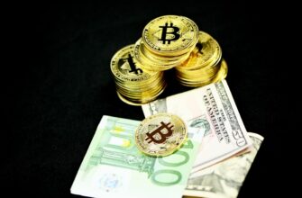 best bitcoin wallet for egypt