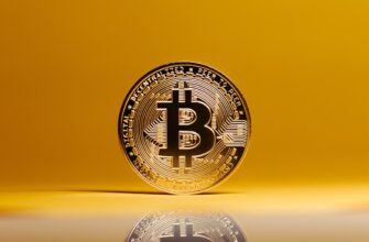 best bitcoin wallet for transactions 1