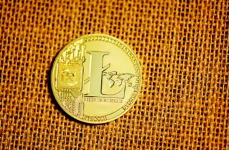 best bitcoin wallet for windows 1
