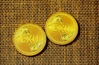 best bitcoin wallet for zimbabwe