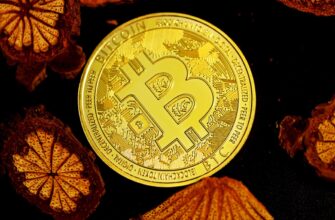 bitcoin halving countdown coinspot