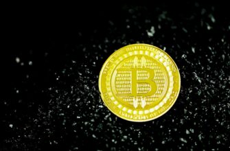 bitcoin halving countdown mempool