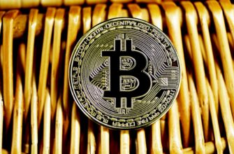 bitcoin halving countdown the block