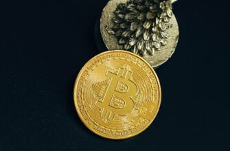 bitcoin halving halving countdown