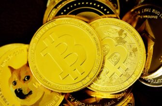 crypto tax haven