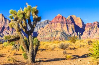 crypto taxes arizona