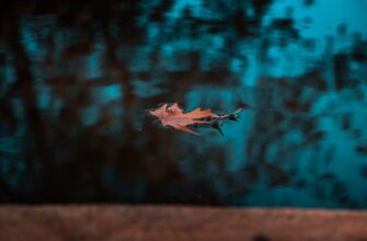 earn eth airdrop on polygon