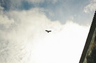 earn opbnb airdrop on coinbase
