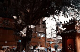 exchange toncoin in buenos aires