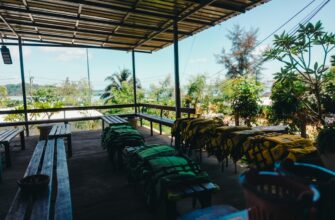 farm solana on compound beginner