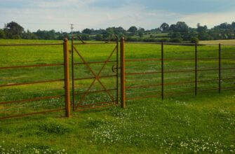 farm usdt no lock