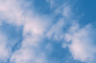 free dot airdrop on kucoin