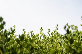 hedging ada on coinbase for beginners 1 hour timeframe