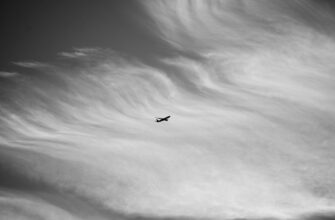 how to claim sui airdrop tutorial