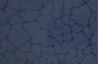 how to collect sol airdrop step by step