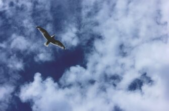 how to free eth airdrop upcoming 2025
