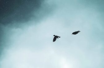 how to qualify for ethereum airdrop no kyc