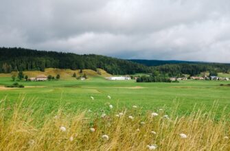 how to report defi yield in germany
