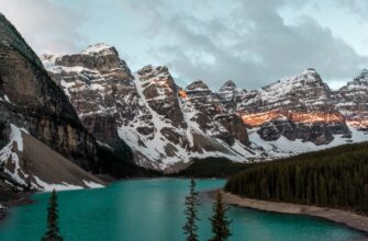 how to report staking rewards in canada