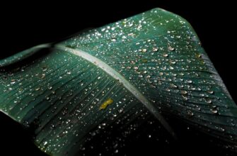 is it safe to protect seed phrase without kyc