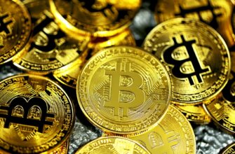 last bitcoin halving countdown