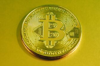 meaning of bitcoin halving countdown