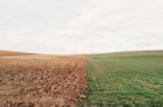 new crypto tax law
