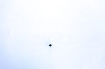 qualify for dot airdrop on bybit