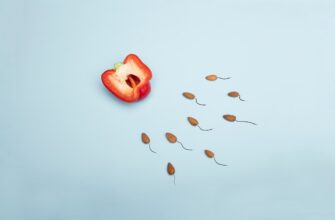 recover seed phrase without kyc best practices