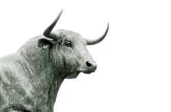 stake avax on beefy finance