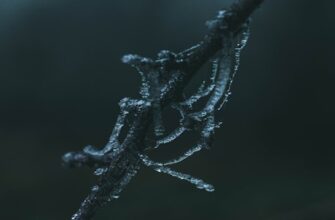 stake usdc on kraken staking best apy