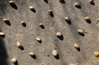 store seed phrase air gapped step by step