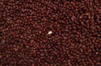 store seed phrase in cold storage step by step