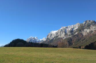 swiss nft fund