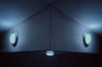swisx vs sfnnx