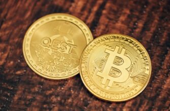 the best bitcoin wallet for beginners