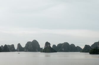 vietnam crypto adoption
