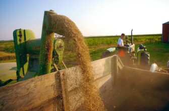 yield farm cardano on beefy finance step by step