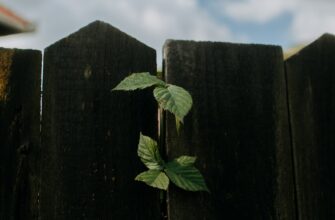 anonymize seed phrase safely low cost