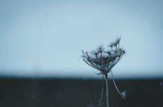 anonymize seed phrase without kyc step by step