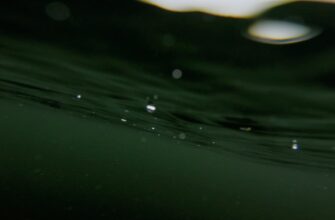 avax testnet faucet airdrop list