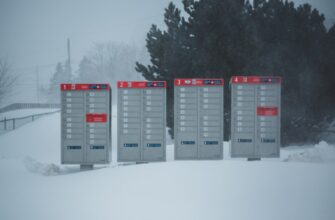 backup ledger in cold storage 2025 guide