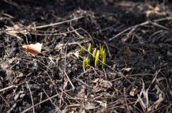 backup seed phrase anonymously step by step