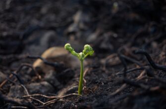 backup seed phrase offline step by step
